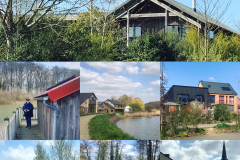 Ecoquartier Lotissement Les Courtils / Hédé Bazouges / Bretagne